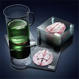 10Pieces/Set 3D Organ Brain Specimen Coasters Set Drinks Table Coaster Slices Square Acrylic Glass Drunk Scientists Gift 211105