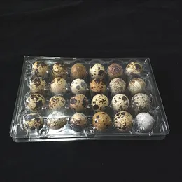 wholesale 24 Holes Quail Eggs Container Plastic Boxes Clear Eggs Packing Storage Box Tray Retail Packing DH8965