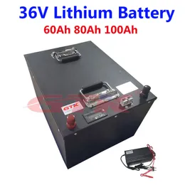 Customized 36V 60Ah 80Ah 100Ah lithium ion battery pack with BMS for solar energy storage solar system rickshaw+10A charger