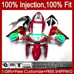 OEM-Karosserie für KAWASAKI NINJA ZX900 ZX9 R ZX-9R 1998 1999 2000 2001 Rot Metallic-Karosserie 17Nr. 107 ZX 9R 9 R 900 CC 98-99 ZX-900 900CC ZX9R 98 99 00 01 Spritzguss-Verkleidungsset