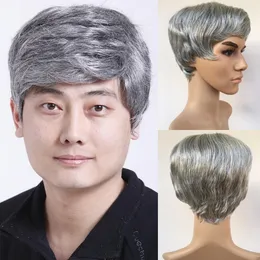 Fashion Mens Male Wig Handsome Vogue Short Light Grey Straight Wigs For African American Full Wigs None Lace Hair In Stock Y demandfactory d