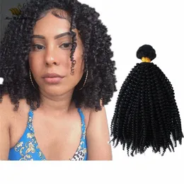 Afro Curly Brasilian Hair Bundles Vävar 10-30In Naturlig Svart Färg 1 Bundle HairWeft