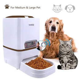 Iseebiz automático alimentador de animais 6l cão alimentador de gato com gravação de voz tigelas de tela lcd para distribuidor de alimentos 4 vezes em 1 dia y200922