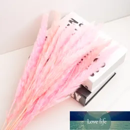 15.PCs artificiella pampas gräs torkade pampas blommor gräs hem bröllop konstnärliga blommor buntkransar vit / rosa fabrik pris expert design kvalitet senast