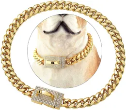 Kuba-Hundekette, Gürtelhalsbänder, volle Diamant-Schnalle, Halsband, Edelstahl, Gold, Haustier-Halskette, 10 mm, 14 mm, Kristall, goldene Halsketten