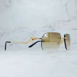Polígono Óculos De Sol Masculino Decoração Sem Aro Carter Panther Elegante Óculos De Sol Vintage Óculos Óculos De Sol Retrô