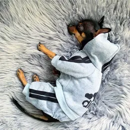 Kattdjur kläder för hund valp hoodies kappa vinter sweatshirt varma tröja hund outfits hund jacka husdjur fyrbenta kläder