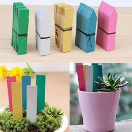 Andra trädgårdstillbehör 100pcs återanvändbara pvc växter hängande tagg etiketter mångfärgade träd frukter fröplanta blomma potten taggar tecken klassificering gadget