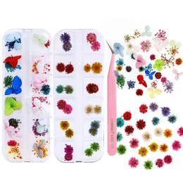 1 Box Natural Dried Flower Diy Resin Glue Filling Home Decoration Articles Nail Accessories Making Craft Diy Acc jllRYC