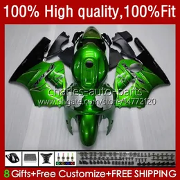 Injektion för Kawasaki ZX1200 ZX 12R 1200CC ZX12R 02 03 04 05 06 52HC.2 ZX 12 R Green Flames ZX-12R 2002 2003 2004 2005 2006 OEM Fairings