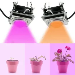 2000W Full Spectrum LED Grow Light Lamp with 1500W and 1000W Options ...