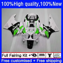 BodyWork for Honda CBR 893 900ホワイトグリーンCC 893RR 900RR 1989 1990 1991 1992 1993 1993 1993 CBR900RR 89-93 CBR893 CBR900 RR 89 90 91 92 93 OEMフェアリングキット