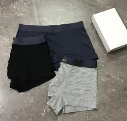 Lüks Tasarımcı Marka Bayan İç Giyim Boksör Mens Underpants%100 Pamuk Nefes Alabilir 3 Parça/Kutu Seksi Rahat Sevimli Çift