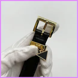 أحزمة مصممة للنساء للسيدات الإبرة الذهبية الإبرة الإبرة مثلث حزام فاخر للسيدات Weistband Ladies Cintura Ceinture 2.0cm NICE D221153F