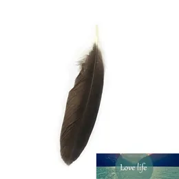 Holesale 10 Rare Natural Eagle Feathers 40-45 Cm/16-18 Decoration Celebration Performance Accessories Inches Jewelry Diy St U0P1