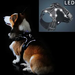 Pet Product Led Led Harness Tailup Nylon Blinkande Ljus Säkerhet Hund sele Leash Rope Belt LED Dog Collar Vest Pet Supplies 210712