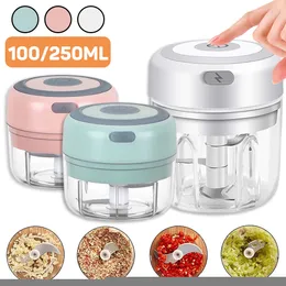 100 / 250ml Mini Narzędzia Elektryczne czosnek Chopper USB Ładowanie Ginger Masher Masher Masher Solidne Trwałe Chili Kruszarki Warzywo Kuchnia Narzędzie