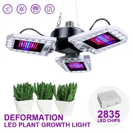 Foldo Full Spectrum LED Phyto Lamp E27 Crescer Luz 100W 200W 300W 85V-265V Caixa de tenda para flor de plântulas internas