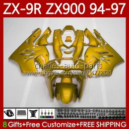 OEM Bodywork para Kawasaki Ninja ZX-9R ZX 9R 9 R 900 CC ZX-900 1994-1997 Bodys 100No.154 ZX9 R ZX900 ZX900C Golden 1994 1995 1996 1997 900cc ZX9R 94 95 96 97