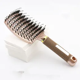 DHL Ship Wholesales Kvinnor Hårbotten Massage Comb Bristle Nylon Hairbrush Wet Curly Detangle Hairs Brushes för Salon Frisör Styling Verktyg