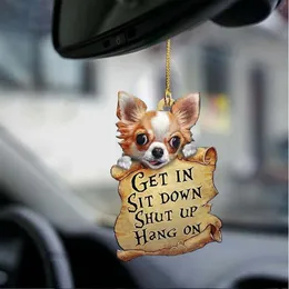 Cat Lover Get In Sit Down Shut Up Hang On Car Hanging Ornament Home Door Decorations Crafts