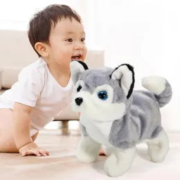 Electric Simulation Toy Dog Plush Toy Teddy Will Call Robot Walking Children's Dog Smart Toy E8V1