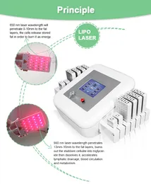brother color laser printer 80k cavitation lipo laser 980 nm equipment Beauty machine