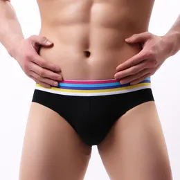 Men's 6-Pack Low Rise T-Back Briefs Striped Pouch Enhancing Underwear Comfy  Hip Brief Bikini Under Panties : : Clothing, Shoes & Accessories
