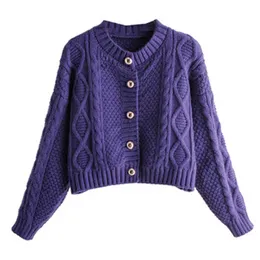 Возможно, у женщин свитер свитер вязаный с длинным рукавом фиолетовый абрикос кардиганы O-шеи свободно осень M0241 210529