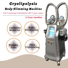 Dikey Cryolipolysis Kilo Kaybı Makinesi 3 Kriyo Kafaları Yağ Dondurucu Selülit Azaltma RF Kırışıklık Temizleme Cilt Sıkılaştırma