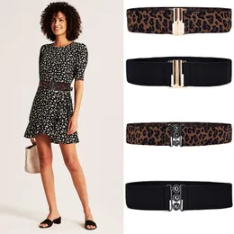 Cintos 2021 Tendência da Moda Feminina Larga Stretch Fivela Tecido Cinto Elástico Cintura Alta Cintura Alta Padrão Leopardo Feminino