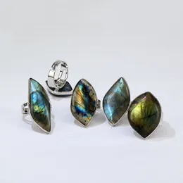 Naturliga prickiga Freeform Labradorite Ringar 5 stycken