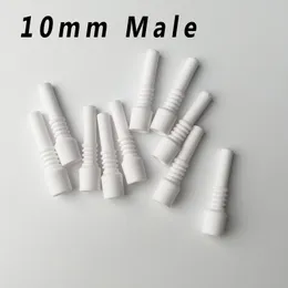 10mm Male Joint Glas Bong Keramik Nagel Mini Dabber Rauchen Zubehör Ersatz Spitze Stroh NC Kits Öl Dab Rigs Quarz
