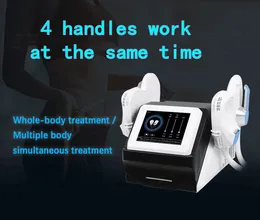 High-Intensity Electro-Magnetic EMS Dissolve Fat Burner Stimulate Muscle Building Weight Loss EMbodysculpting Slimming Machine