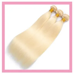 Indian Blonde Color Virgin Human Hair Extensions 10-30 cali Podwójne wątki Jedwabiście proste 613 #