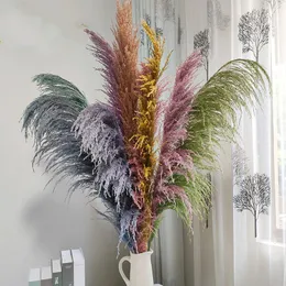 Decorative Flowers & Wreaths Big Real Dried Pampas Grass Natural Reed Bouquet Decor Wedding Flower Bunch Plants Fall Winter For Home