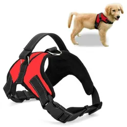 Hundkrafter Leashes Nylon Harness Collar Högkvalitativa Pet Produkter för Små Medium Stor Harnais Pour Chie Tillbehör Arnes Perro Pequeño