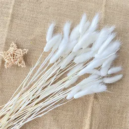 30pcs Pampas Grass Dried Natural Flowers Rabbit Tail Grass Home Living Room Decoracion Accessories White and Gold Wedding Decor Y0728