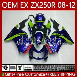 Kawasaki Ninja Ex ZX 250R EX250 ZX250 R 2009 2010 Boardwork 81NO.147 ZX250R EX250R 08-12 ZX-250R 08 09 10 11 12 OEM 바디