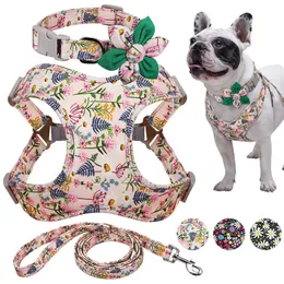 Fransk Bulldog Harness Leash och Collar Set Printed No Pull Dog Harness Vest Leash Collar Set för Små Medium Stora hundar 211006