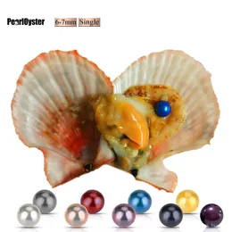 2020 Fai da te 6-7mm Ostrica Akoya conchiglia rossa con acqua di mare con perle singole Misto 25 colori Perla naturale circolare di alta qualità in confezione sottovuoto