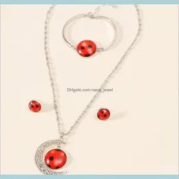 Miraculous Ladybug Cat Noir Pendant Necklace And Bracelet Earrings