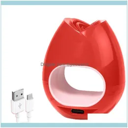 Art Salon Health Beautyrose Nail Piece Lamp Hine с фортепиано Процесс выпечки 60S быстрый сушильный гель USB Powered 16W Светодиодные сушки сушки