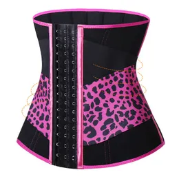 Premium Neopren Waist Tummy Shapewear Body Shaper Has Hook Zamknięcie żołądka Odchudzanie Corset Fitness Sauna Sauna Sumit Kształtowanie Doskonała Krzywa Dla Kobiet