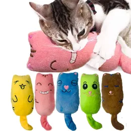 Catnip leksaker för inomhus katter katt tugg leksaker bett resistenta tänder interaktiva kattunge leksak fyllda tecknad plysch leksak kitty gåvor grossist h12