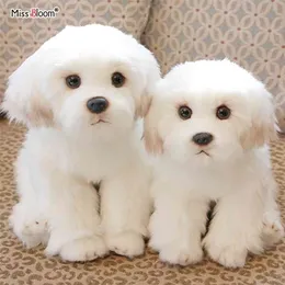 Bichon Frise valp fylld djur hund plysch leksak söt simulering husdjur fluffig baby dockor födelsedag gåvor för barn droppe 210728