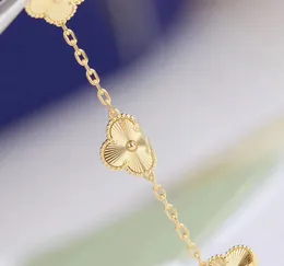 V materiale in oro eccellente qualità braccialetto punk con ciondolo a cinque fiori placcato in oro 18 carati per gioielli di fidanzamento da donna con scatola per francobolli PS3409 KMVI