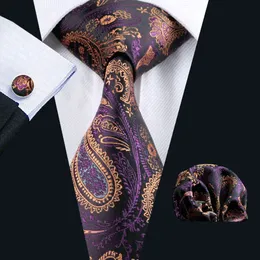Trendy Men's Men Fashion Tie Necktie Floral for Mens Business Blue Men Ties Bridegroom Paisley Men Neck Ties N-0571