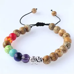 Jewelry Tiger Eye Picture Stone Elephant Colorful Chakra Energy Buddha Beads Woven Bracelet Bracelet
