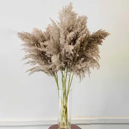 5PC / BUNCH 50-60cm Natural Reed Dired Flower Big Pampas Grass Bouquet Home Widding Decoration Fall Decor DIY Dired Reed Blommor 210624